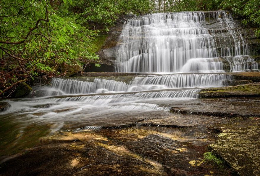 Pisgah National Forest